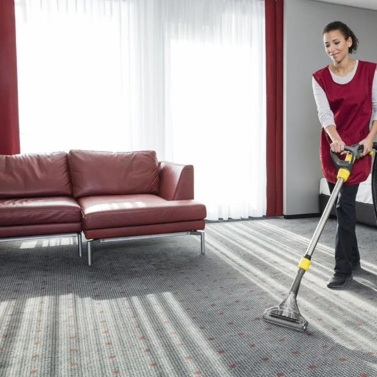 Carpet Cleaning