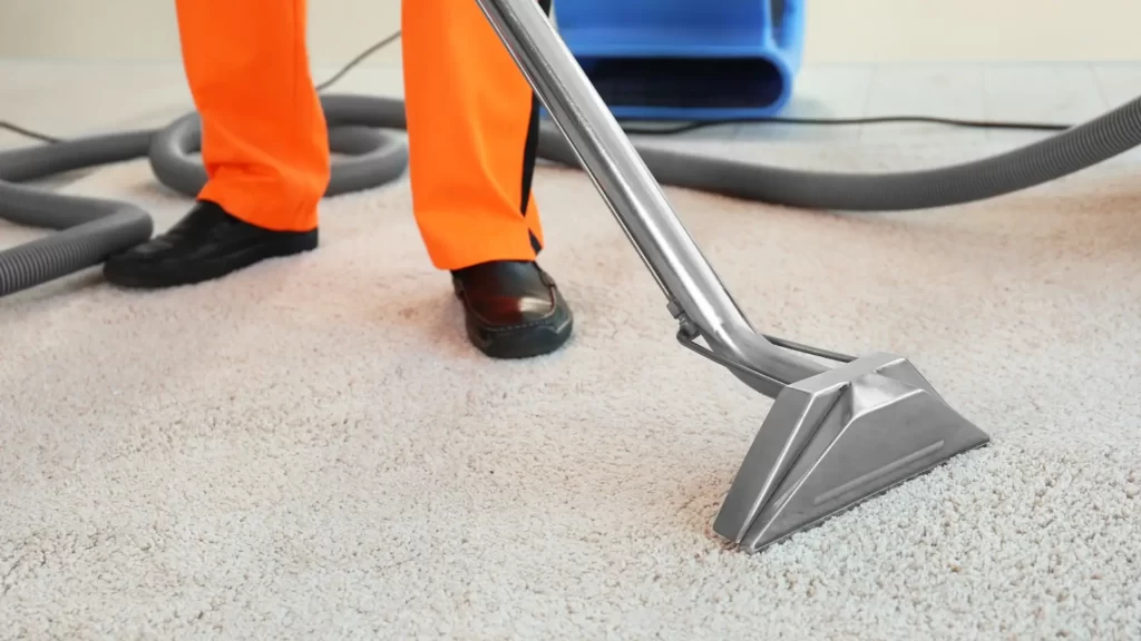 Restore the Beauty of Your Carpets: Expert Cleaning Services