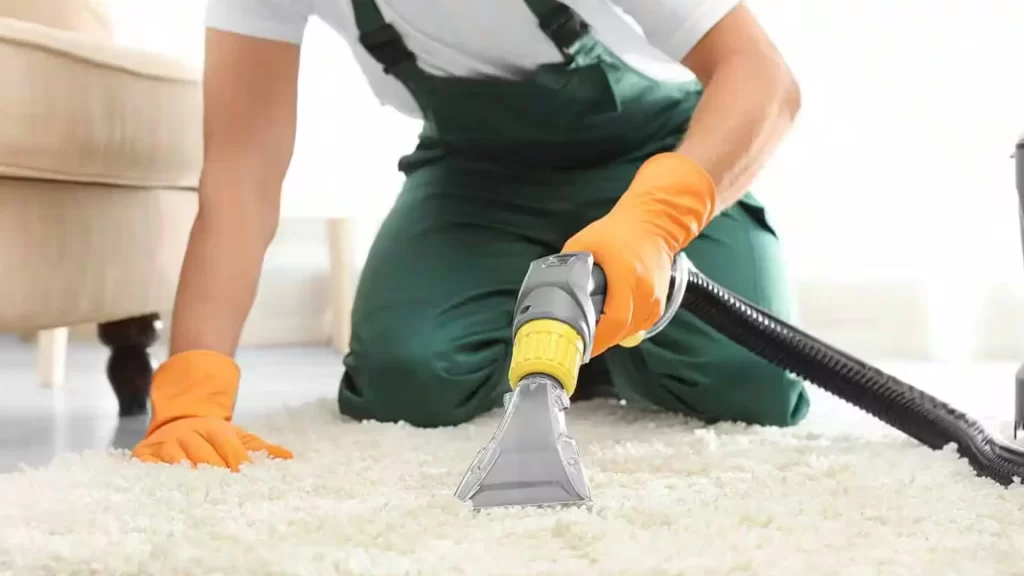 Discover the Difference with Professional Carpet Cleaning Services