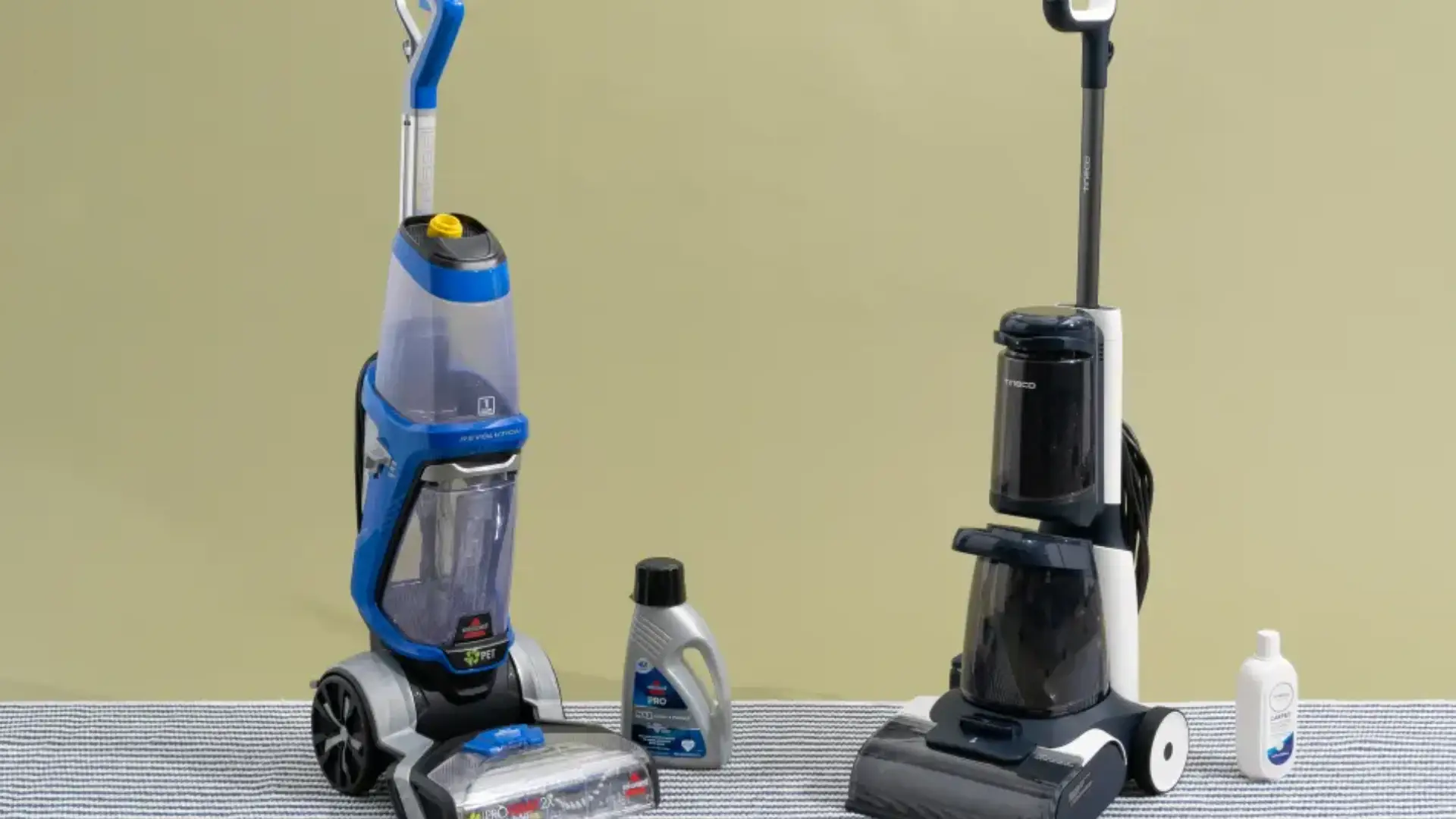 Best Carpet Cleaning Reviews Find Professional Cleaners